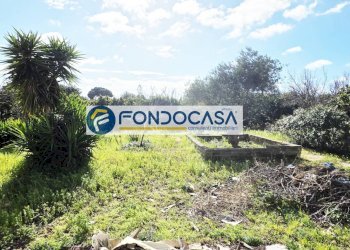 Foto 18 - Villa strada per caputi
 
66, Brindisi - foto 18