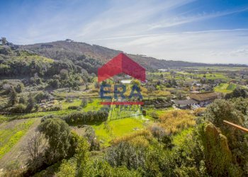 Foto 14 - Villa Strada Nuova
 
116, Ariccia - foto 14