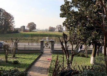 Giardino - Casa indipendente Via Orlandelli
 
42, Pieve San Giacomo - foto 17