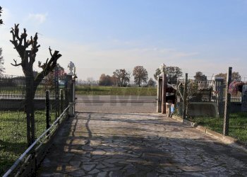 Edificio all\'aperto - Casa indipendente Via Orlandelli
 
42, Pieve San Giacomo - foto 18