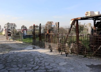 Edificio all\'aperto - Casa indipendente Via Orlandelli
 
42, Pieve San Giacomo - foto 25