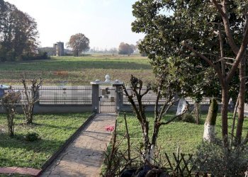 Giardino - Casa indipendente Via Orlandelli
 
42, Pieve San Giacomo - foto 28