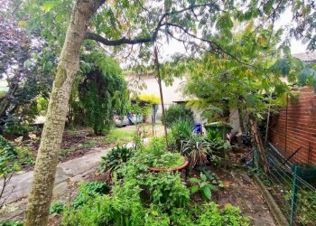 Giardino - Villa via Camillo Benso di Cavour, 32, Poirino - photo 49