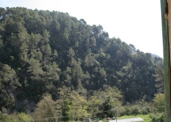 Vista - Two-room apartment strada Provinciale 73, 19, Olivetta San Michele - photo 29