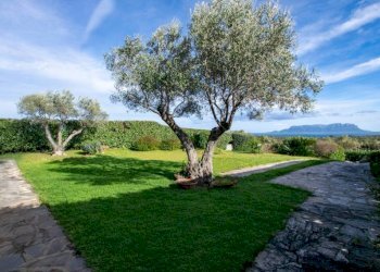 Giardino - Villa Sottomonte, Golfo Aranci - photo 13