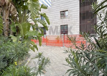 Giardino - Terreno agricolo CDN, Napoli - foto 9