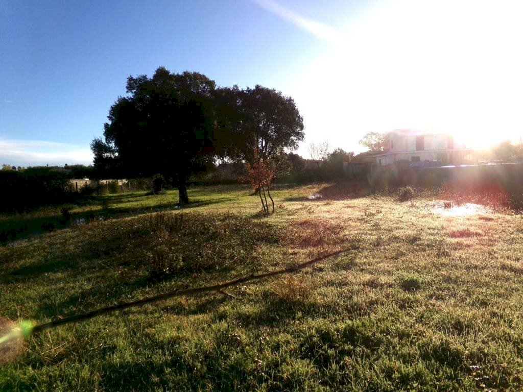 Terreno - Terreno agricolo via delle Felci, 16, Anzio - foto 1