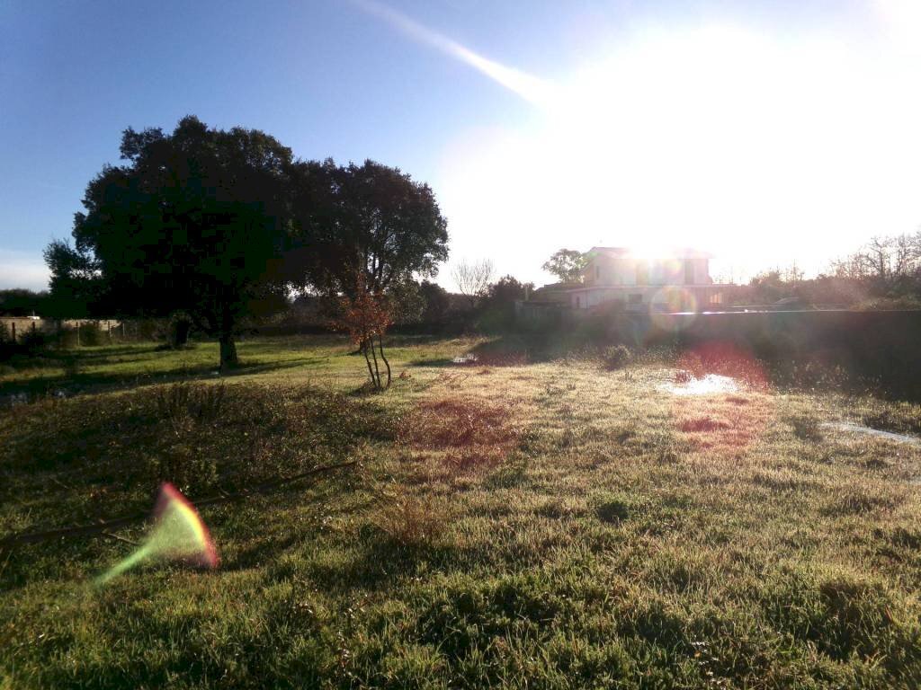 Terreno - Terreno agricolo via delle Felci, 16, Anzio - foto 2