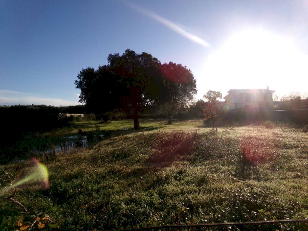 Terreno - Terreno agricolo via delle Felci, 16, Anzio - foto 3