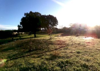 Terreno - Agricultural land via delle Felci, 16, Anzio - photo 1