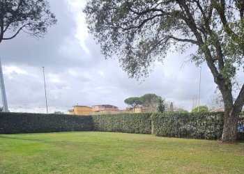 Giardino - Trilocale via Oscar Ghiglia, Roma (zona Malafede) - foto 2