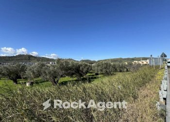 Terreno edificabile viale Magna Grecia, Catanzaro - foto 30