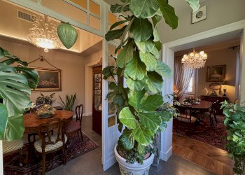 Appartamento Bologna (zona San Mamolo) - foto 5