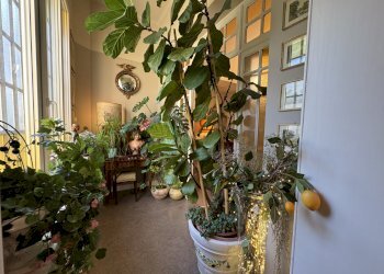 Appartamento Bologna (zona San Mamolo) - foto 6