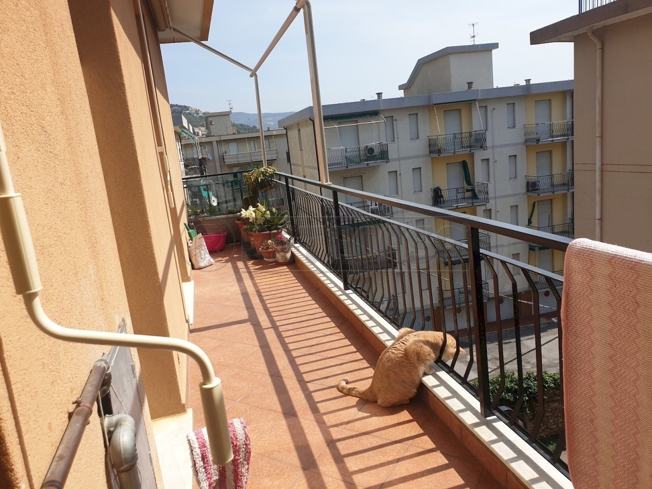 20220515_111857.jpg - Apartment Via Privata Canneva 106, Pietra Ligure - photo 2
