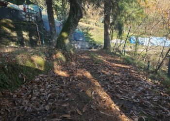 CASA DI PAESE DA RISTRUTTURARE IA04193 (22).jpg - Terratetto - Terracielo Località Grabbia 1, Lucca - foto 15