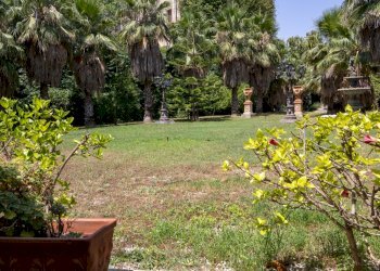 IMG_3730.jpg - Albergo - Struttura ricettiva Via pola 2, Noto - foto 6