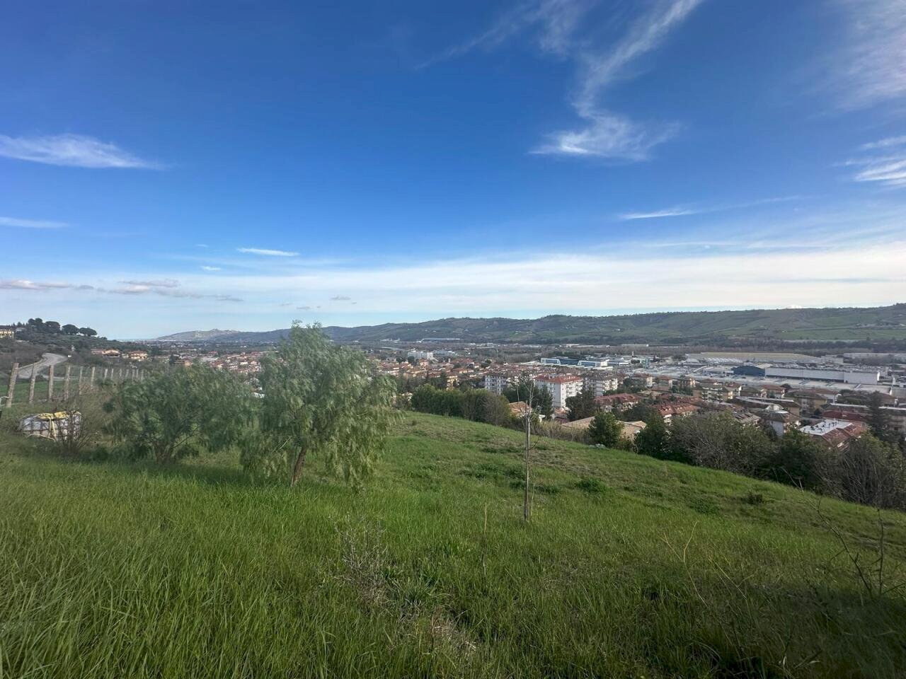 WhatsApp Image 2026-02-23 at 11.21.47 (1).jpeg - Terreno agricolo Castel di Lama - foto 1