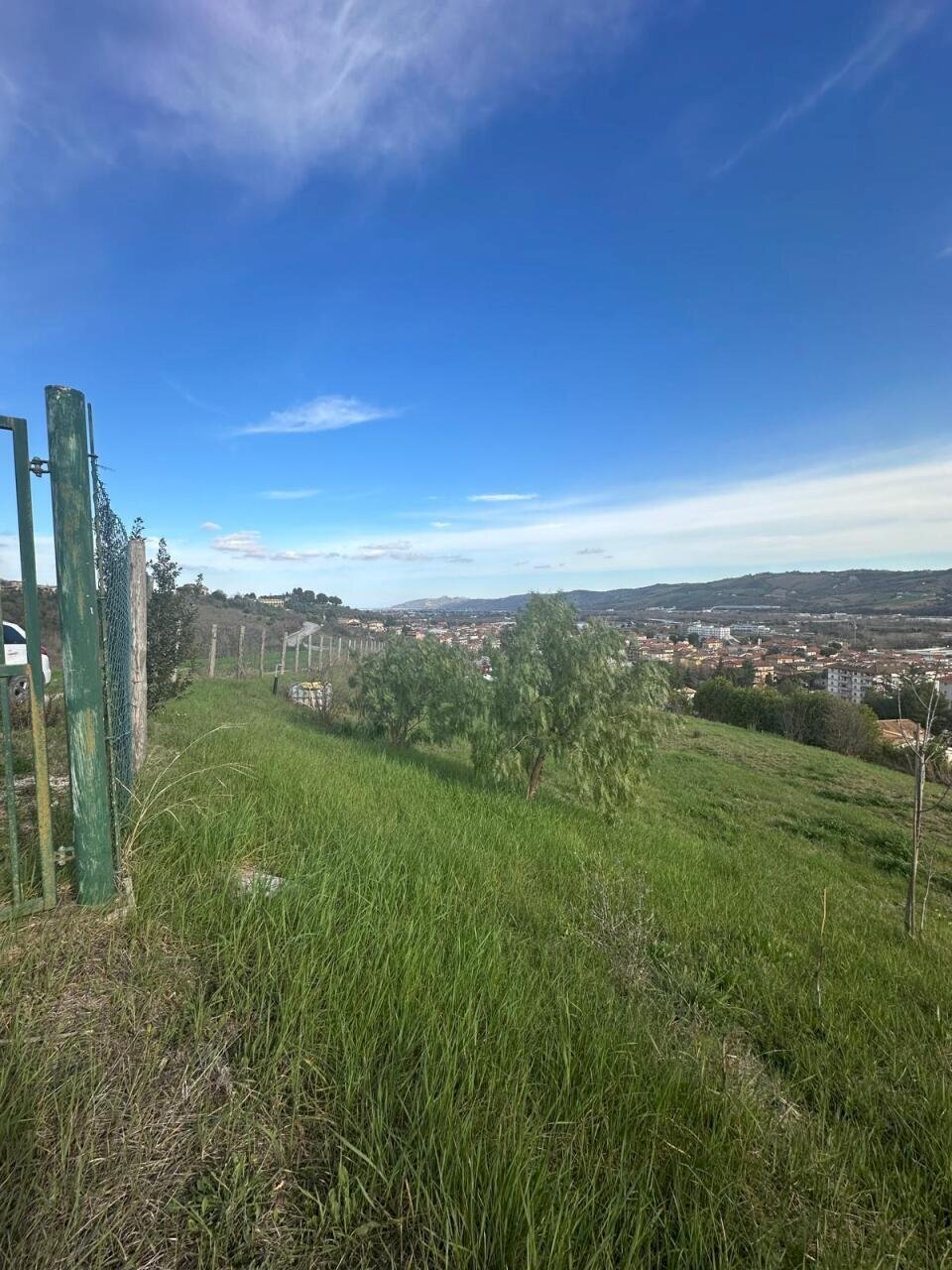 WhatsApp Image 2026-02-23 at 11.21.47 (2).jpeg - Terreno agricolo Castel di Lama - foto 2