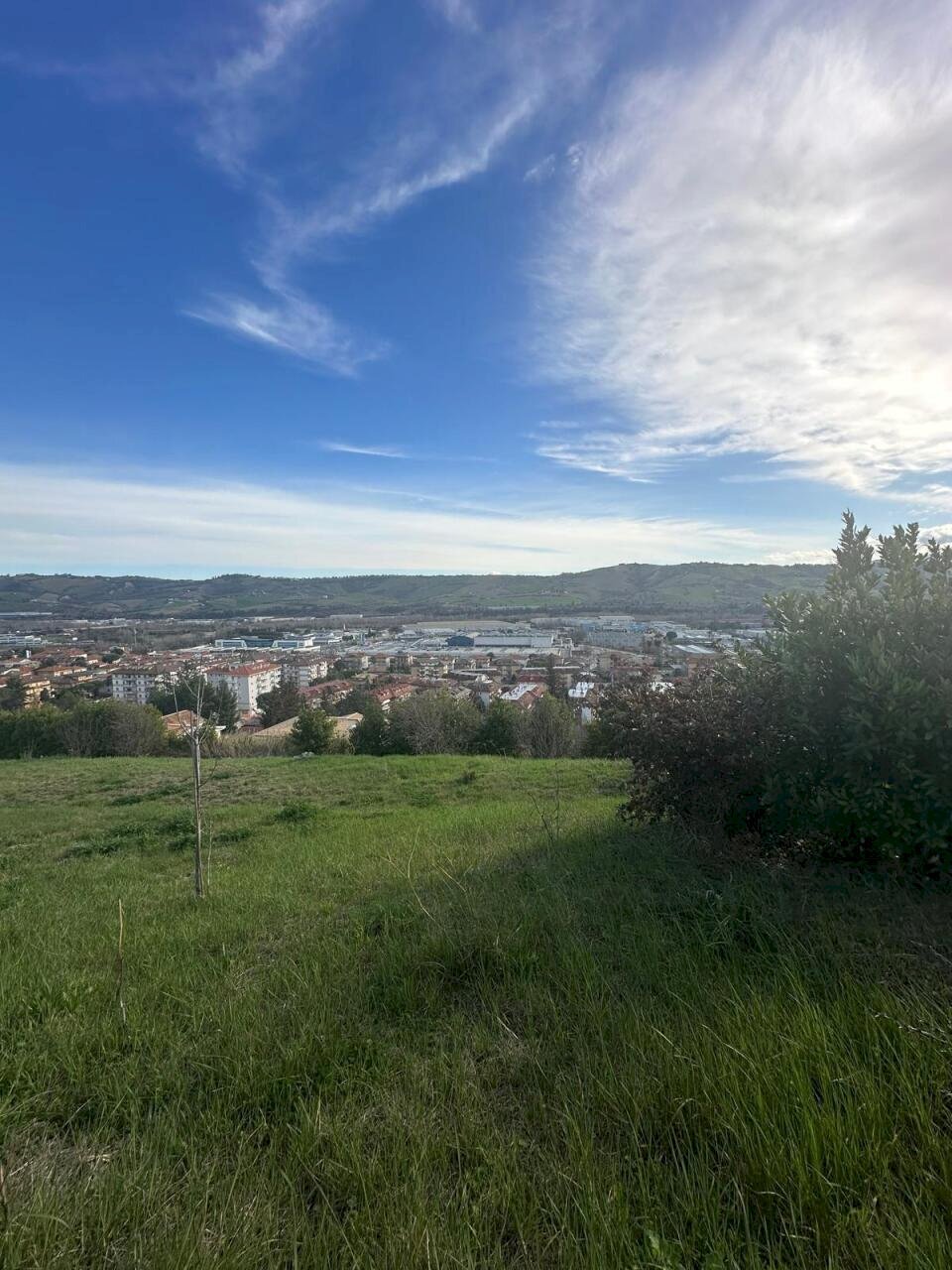 WhatsApp Image 2026-02-23 at 11.21.47 (3).jpeg - Terreno agricolo Castel di Lama - foto 3