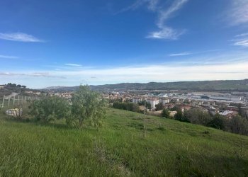 WhatsApp Image 2026-02-23 at 11.21.47 (1).jpeg - Terreno agricolo Castel di Lama - foto 1