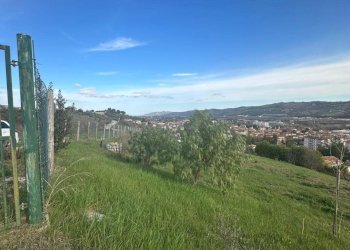 WhatsApp Image 2026-02-23 at 11.21.47 (2).jpeg - Terreno agricolo Castel di Lama - foto 2