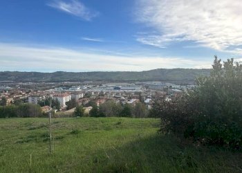 WhatsApp Image 2026-02-23 at 11.21.47 (3).jpeg - Terreno agricolo Castel di Lama - foto 3