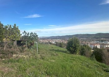 WhatsApp Image 2026-02-23 at 11.21.47 (5).jpeg - Terreno agricolo Castel di Lama - foto 5