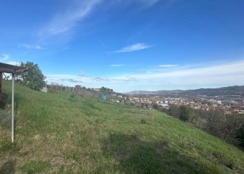 WhatsApp Image 2026-02-23 at 11.21.47 (9).jpeg - Terreno agricolo Castel di Lama - foto 9