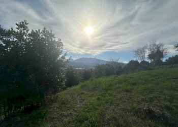 WhatsApp Image 2026-02-23 at 11.21.47 (11).jpeg - Terreno agricolo Castel di Lama - foto 11