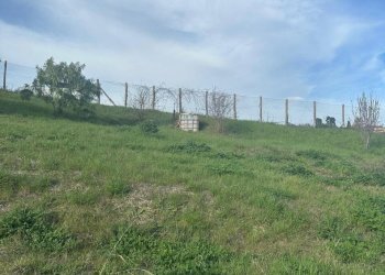 WhatsApp Image 2026-02-23 at 11.21.47 (13).jpeg - Terreno agricolo Castel di Lama - foto 13