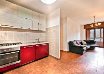 WhatsApp Image 2026-01-24 at 18.34.48 (1).jpeg - Appartamento Via Suor Giuseppina Vannini 21, Grottaferrata - foto 3