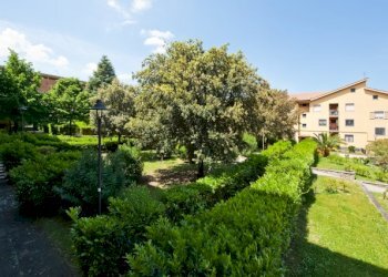 image-1769505650164.png - Appartamento Via Suor Giuseppina Vannini 21, Grottaferrata - foto 13