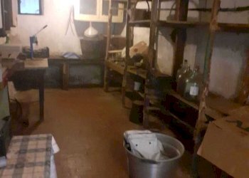 WhatsApp Image 2026-02-24 at 09.38.57 (4).jpeg - Casa semi indipendente marciaso fosdinovo, Fosdinovo - foto 18