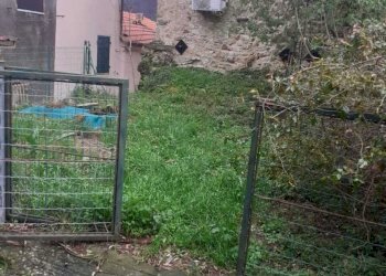 WhatsApp Image 2026-02-24 at 09.38.58.jpeg - Casa semi indipendente marciaso fosdinovo, Fosdinovo - foto 19