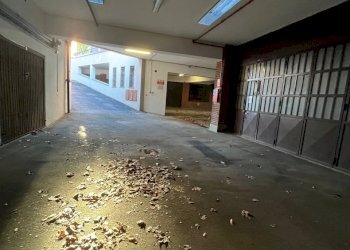 IMG_7410.jpg - Box Corso Filippo Brunelleschi 151, Torino (zona Pozzo Strada) - foto 6