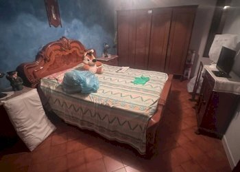 WhatsApp Image 2026-02-23 at 10.21.38 (1).jpeg - Casa indipendente Canaro - foto 6