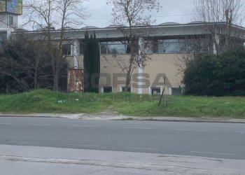 WhatsApp Image 2026-02-23 at 10.14.07 (1).jpeg - Locale Commerciale Via Dell'artigianato 300, Livorno - foto 16