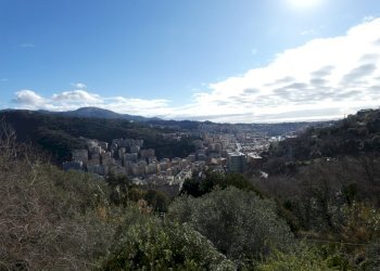 VISTA.JPG - Casa indipendente Genova (zona Staglieno) - foto 23