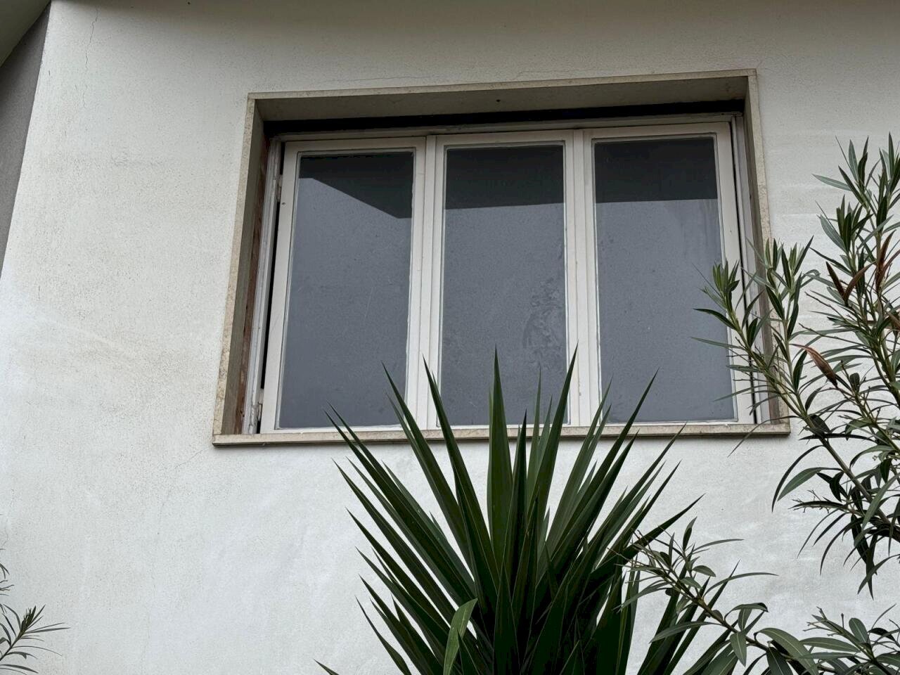 WhatsApp Image 2026-02-24 at 09.25.27 (6).jpeg - Warehouse Via Lamarmora 92, Sanremo - photo 1