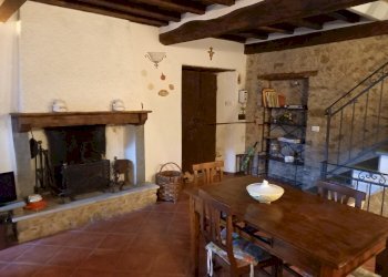 20210201_104958.jpg - Porzione di casa Camaiore - foto 1