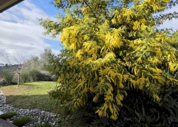 153969.jpg - Villa Via Aldo Moro 889, Morlupo - photo 13