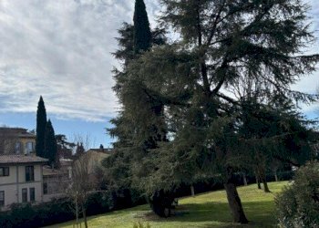 PHOTO-2026-02-23-10-32-5104.jpg - Quadrilocale Via Ser Lapo Gavacciani, Firenze - foto 13