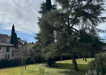 PHOTO-2026-02-23-10-32-5155.jpg - Quadrilocale Via Ser Lapo Gavacciani, Firenze - foto 19