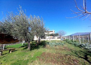 WhatsApp Image 2026-02-21 at 12.23.12 (3).jpeg - Baita Via del Pescheto, Tivoli - foto 3