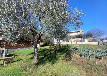 WhatsApp Image 2026-02-21 at 12.23.14.jpeg - Baita Via del Pescheto, Tivoli - foto 7