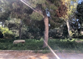 Foto 13-02-26, 11 59 17.jpg - Apartment Viale Teocrito, Siracusa - photo 4