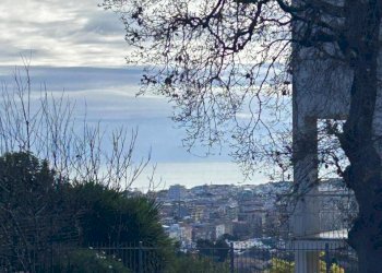 WhatsApp Image 2026-02-23 at 10.27.05.jpeg - Rustic Pescara - photo 10