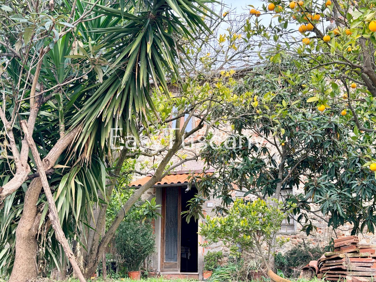 image00001.jpeg - Casa indipendente Via Maona 59, Montecatini-Terme - foto 1