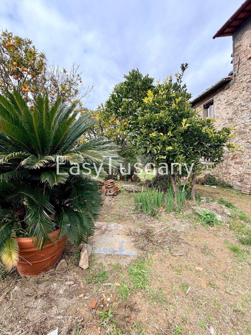 image00002.jpeg - Casa indipendente Via Maona 59, Montecatini-Terme - foto 2